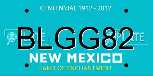 BLGG82 New Mexico License Plate