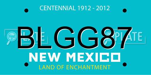 BLGG87 New Mexico License Plate