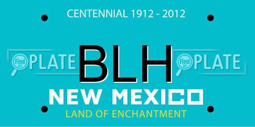 BLH New Mexico License Plate