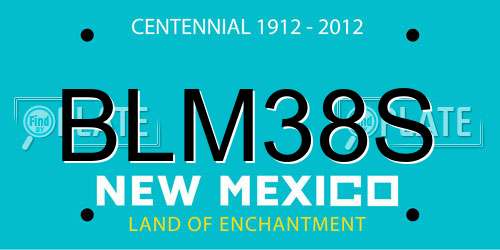 BLM38S New Mexico License Plate