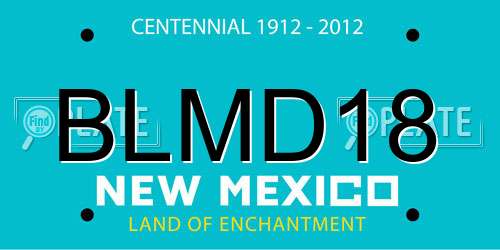 BLMD18 New Mexico License Plate