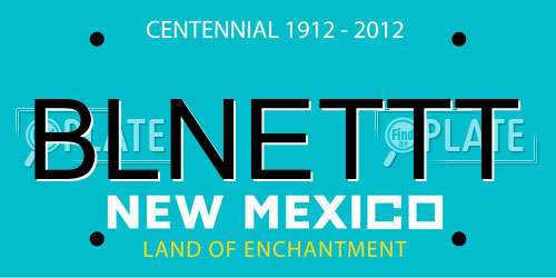 BLNETTT New Mexico License Plate