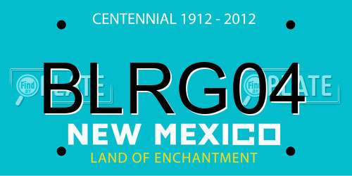 BLRG04 New Mexico License Plate