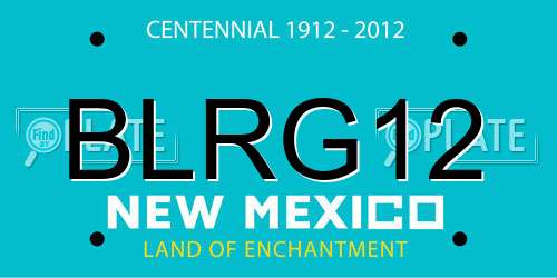 BLRG12 New Mexico License Plate