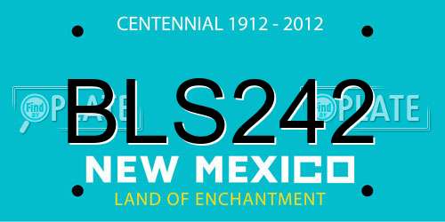 BLS242 New Mexico License Plate