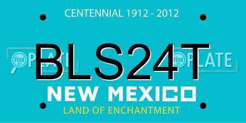 BLS24T New Mexico License Plate