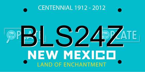 BLS24Z New Mexico License Plate
