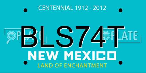 BLS74T New Mexico License Plate