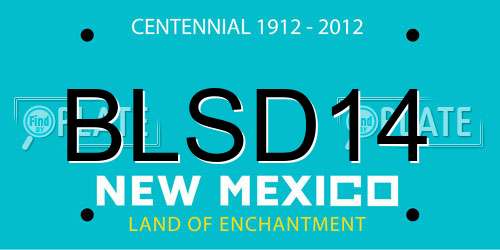 BLSD14 New Mexico License Plate