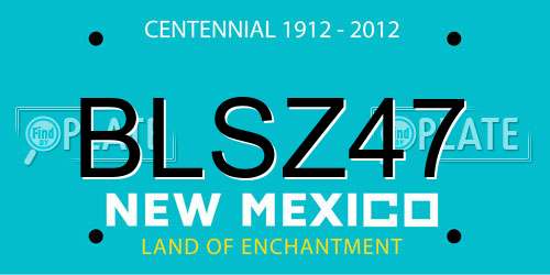 BLSZ47 New Mexico License Plate