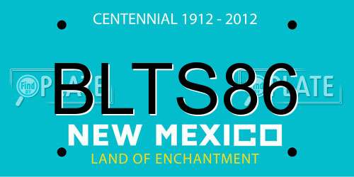 BLTS86 New Mexico License Plate