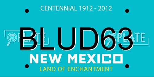 BLUD63 New Mexico License Plate