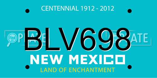 BLV698 New Mexico License Plate