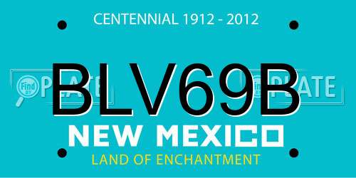 BLV69B New Mexico License Plate