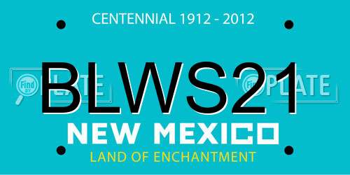 BLWS21 New Mexico License Plate