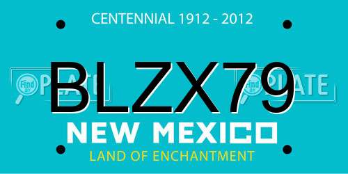 BLZX79 New Mexico License Plate