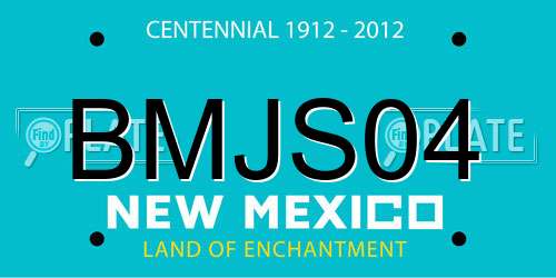 BMJS04 New Mexico License Plate