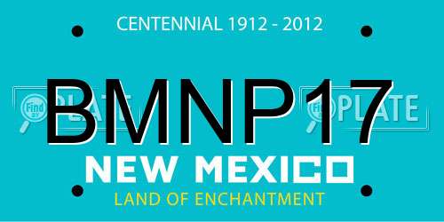 BMNP17 New Mexico License Plate