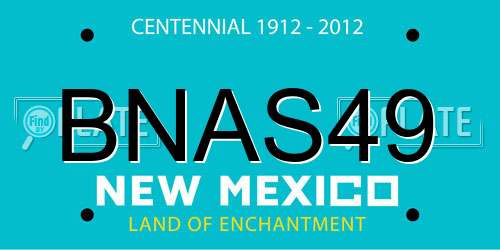 BNAS49 New Mexico License Plate