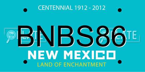 BNBS86 New Mexico License Plate