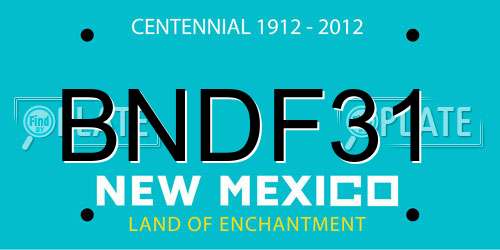 BNDF31 New Mexico License Plate