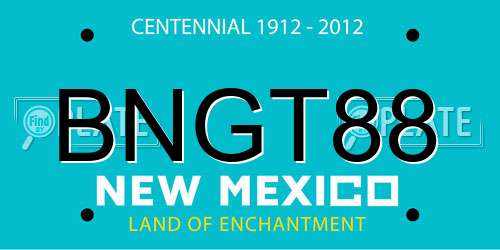 BNGT88 New Mexico License Plate