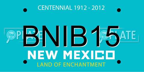 BNIB15 New Mexico License Plate