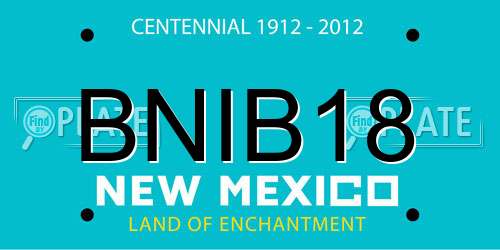 BNIB18 New Mexico License Plate