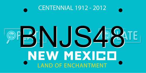 BNJS48 New Mexico License Plate