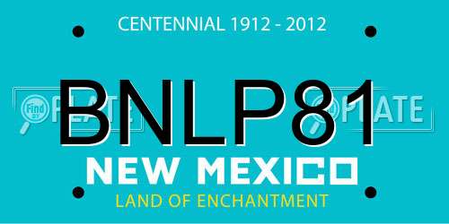 BNLP81 New Mexico License Plate