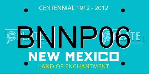 BNNP06 New Mexico License Plate