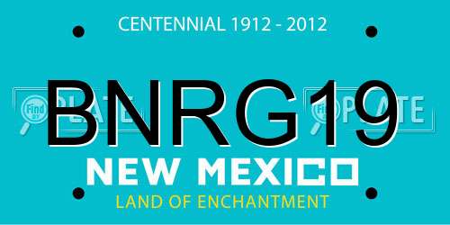 BNRG19 New Mexico License Plate