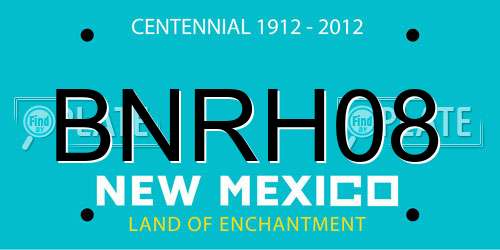 BNRH08 New Mexico License Plate