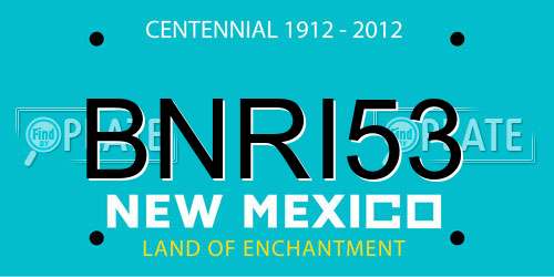 BNRI53 New Mexico License Plate