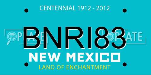 BNRI83 New Mexico License Plate