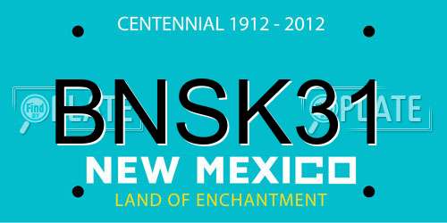 BNSK31 New Mexico License Plate
