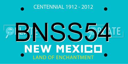 BNSS54 New Mexico License Plate