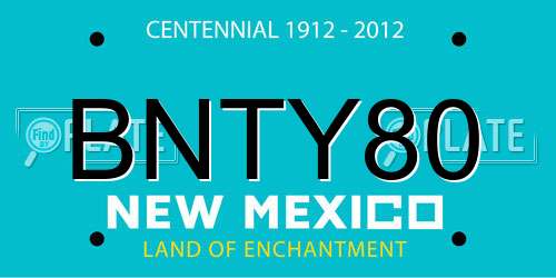 BNTY80 New Mexico License Plate