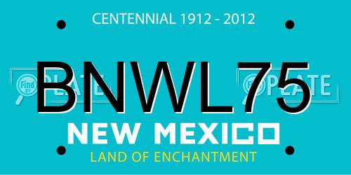 BNWL75 New Mexico License Plate