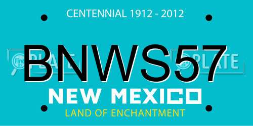BNWS57 New Mexico License Plate