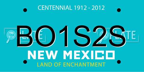 BO1S2S New Mexico License Plate