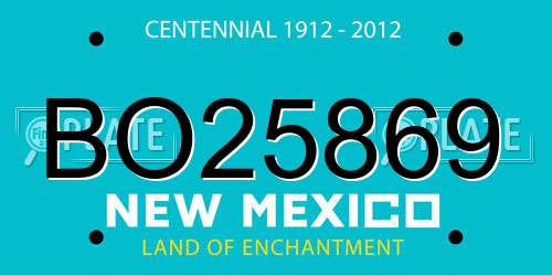 BO25869 New Mexico License Plate