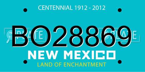 BO28869 New Mexico License Plate