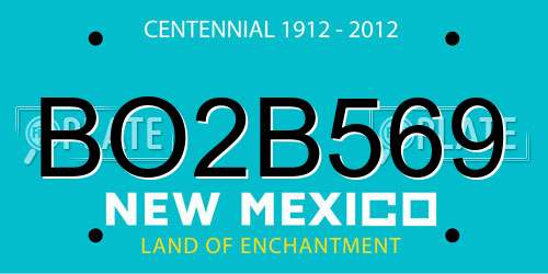 BO2B569 New Mexico License Plate