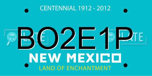 BO2E1P New Mexico License Plate