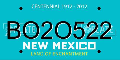 BO2O522 New Mexico License Plate