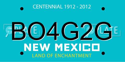 BO4G2G New Mexico License Plate