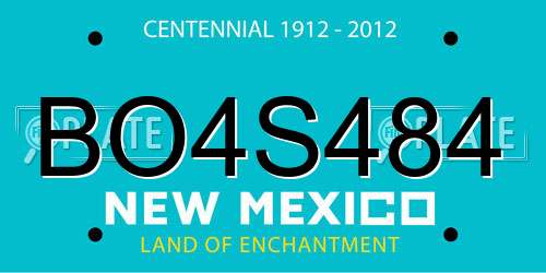 BO4S484 New Mexico License Plate