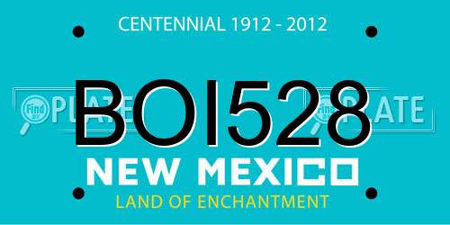 BOI528 New Mexico License Plate