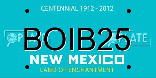 BOIB25 New Mexico License Plate